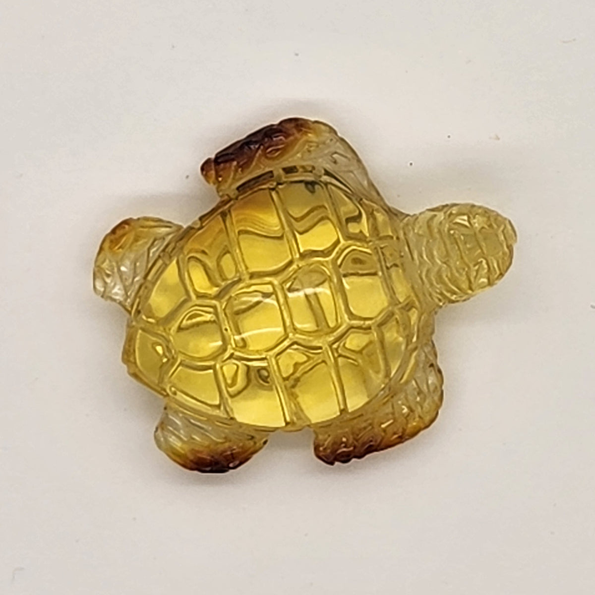 Sea Turtle Amber Carving #2