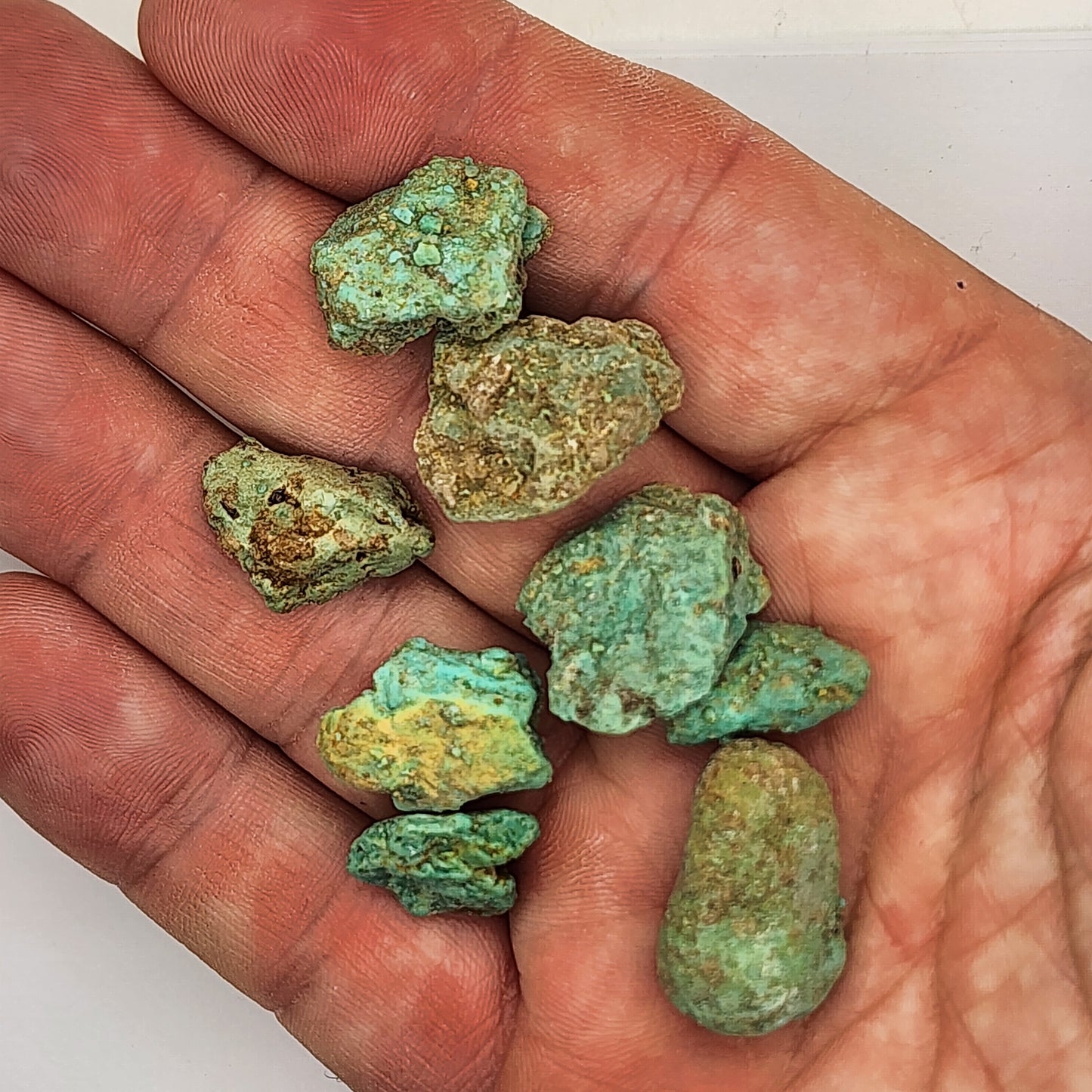 Sonoran Turquoise Rough - Stabilized Specimens - Lot #1