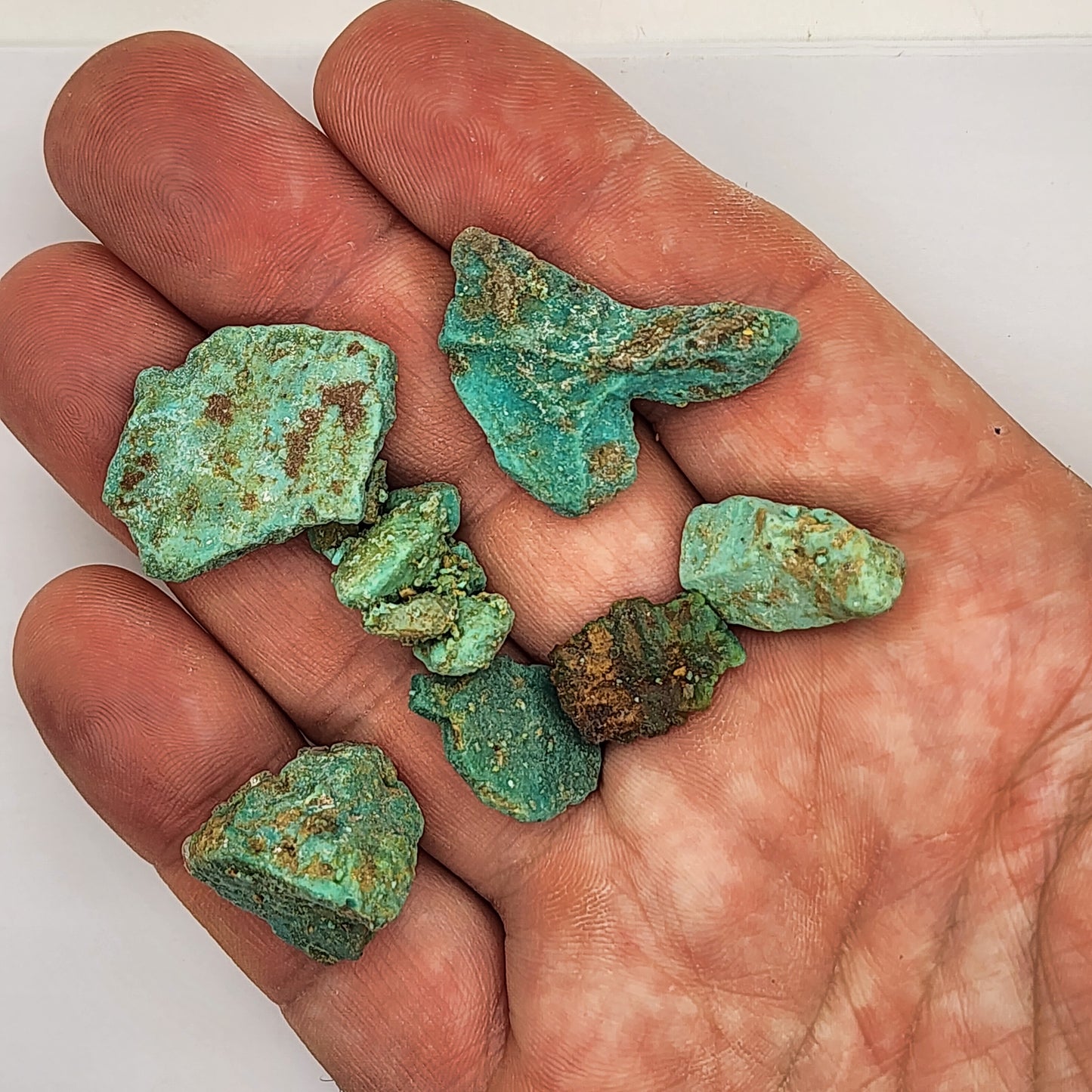 Sonoran Turquoise Rough - Stabilized Specimen - Lot #9