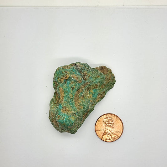 Sonoran Turquoise Rough - Stabilized Specimen - Lot #7