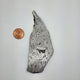 Aletai Meteorite Slice - ALT-03