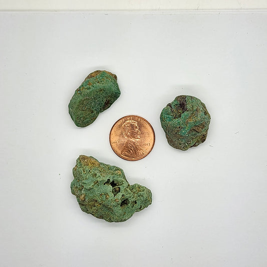 Sonoran Turquoise Rough - Stabilized Specimens - Lot #2