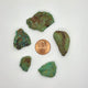 Sonoran Turquoise Rough - Stabilized Specimens - Lot #14