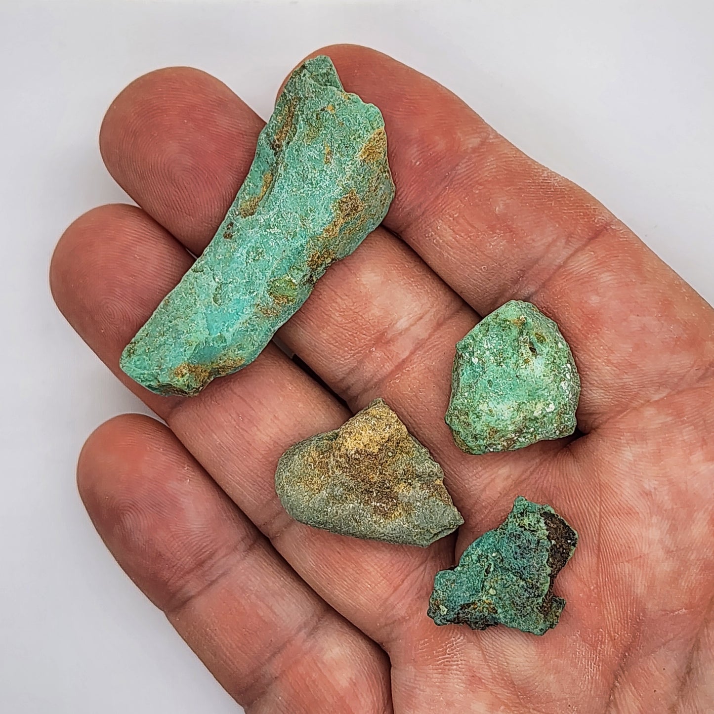 Sonoran Turquoise Rough - Stabilized Specimens - Lot #13