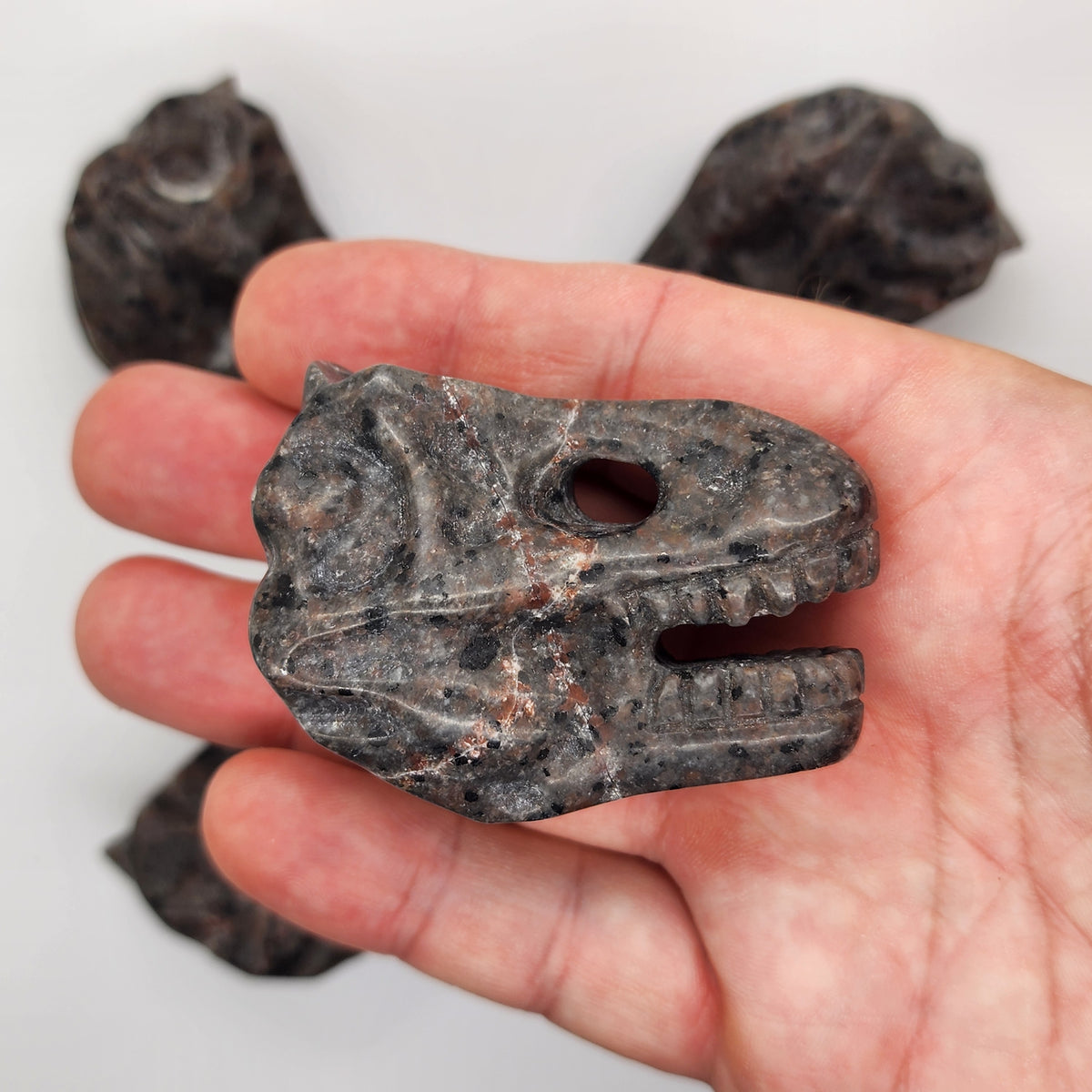 T-Rex Dinosaur Skull Carving in UV Fluorescent Sodalite Syenite