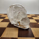 Clear Quartz Crystal Skull - Terry- A Grade