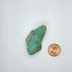 Sonoran Turquoise Rough - Stabilized Specimen - Lot #15