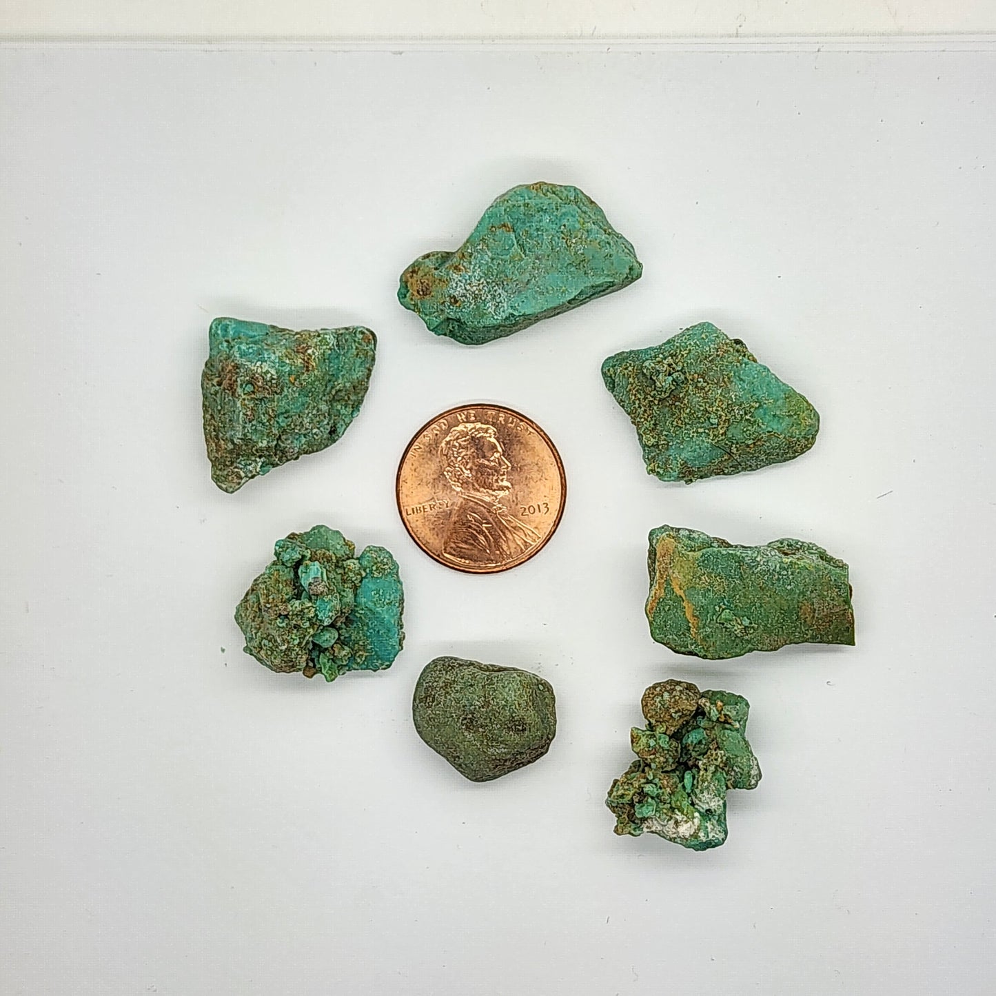 Sonoran Turquoise Rough - Stabilized Specimens - Lot #3