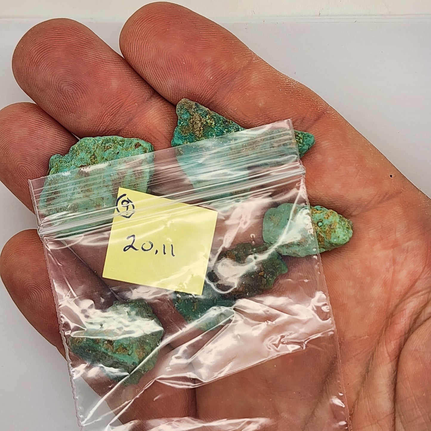 Sonoran Turquoise Rough - Stabilized Specimen - Lot #9