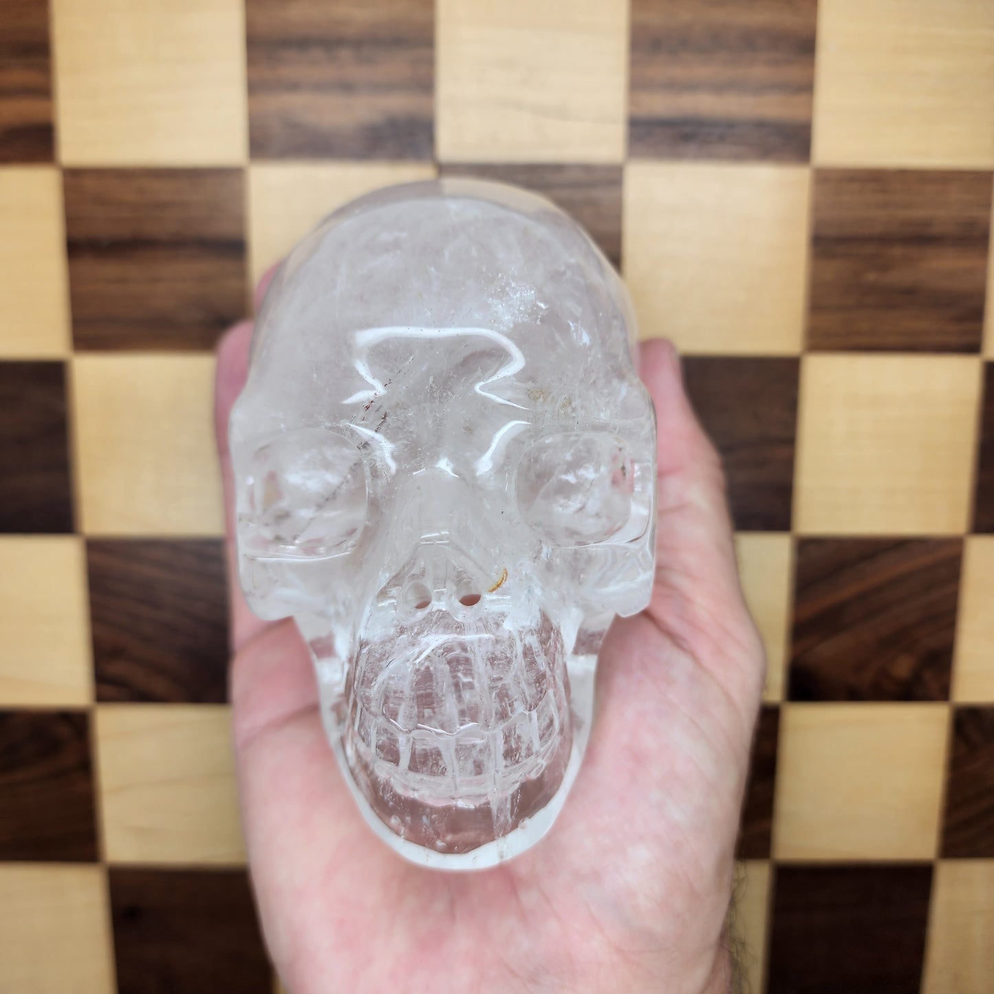 Clear Quartz Crystal Skull - Terry- A Grade