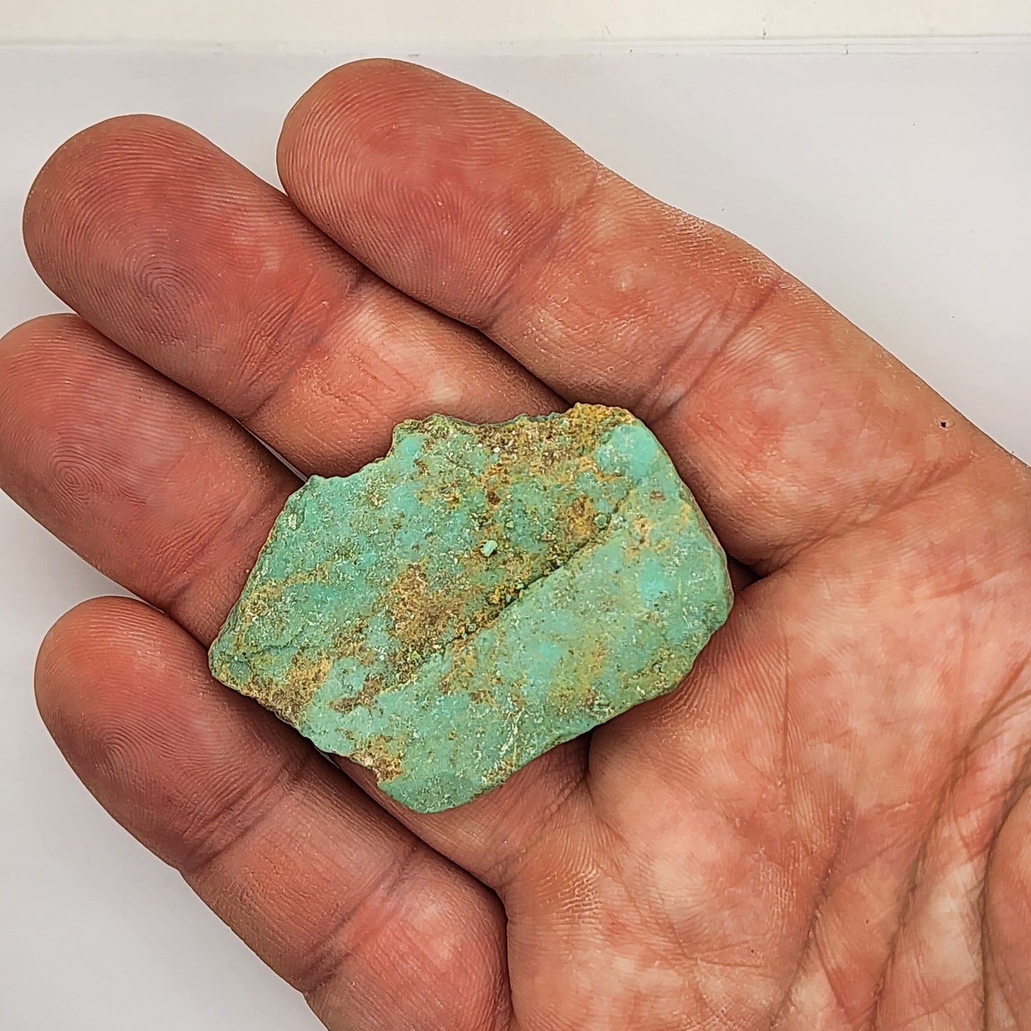 Sonoran Turquoise Rough - Stabilized Specimen - Lot #8