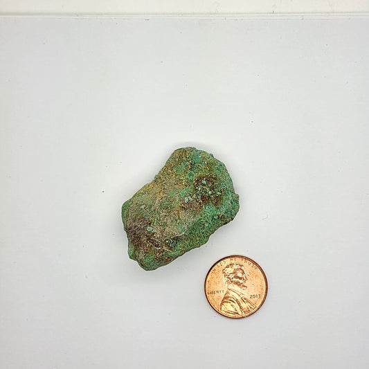 Sonoran Turquoise Rough - Stabilized Specimens - Lot #6
