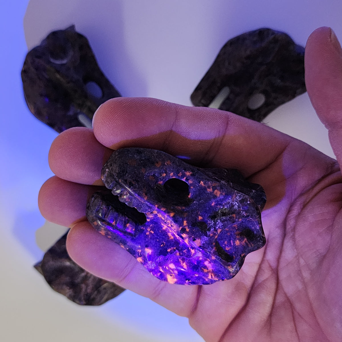 T-Rex Dinosaur Skull Carving in UV Fluorescent Sodalite Syenite