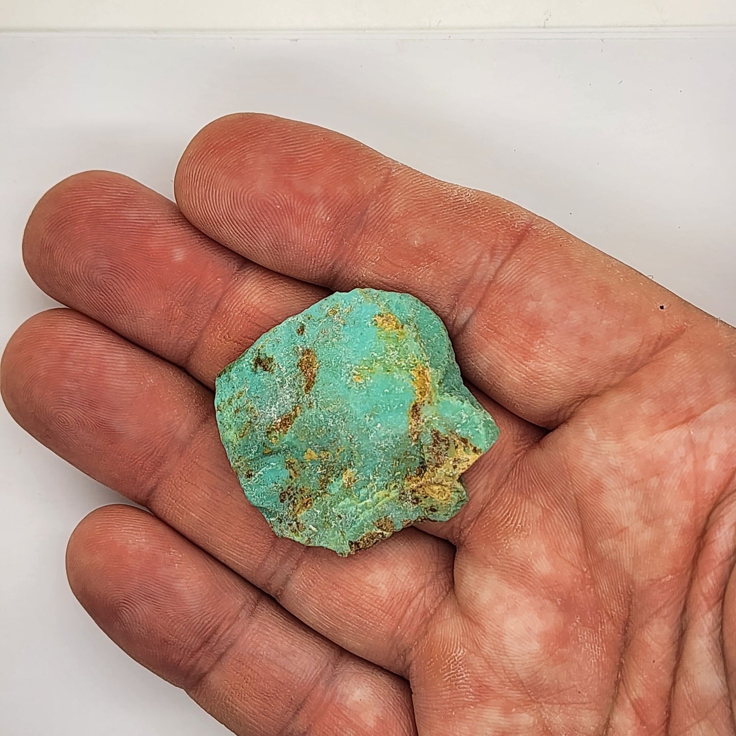 Sonoran Turquoise Rough - Stabilized Specimen - Lot #5