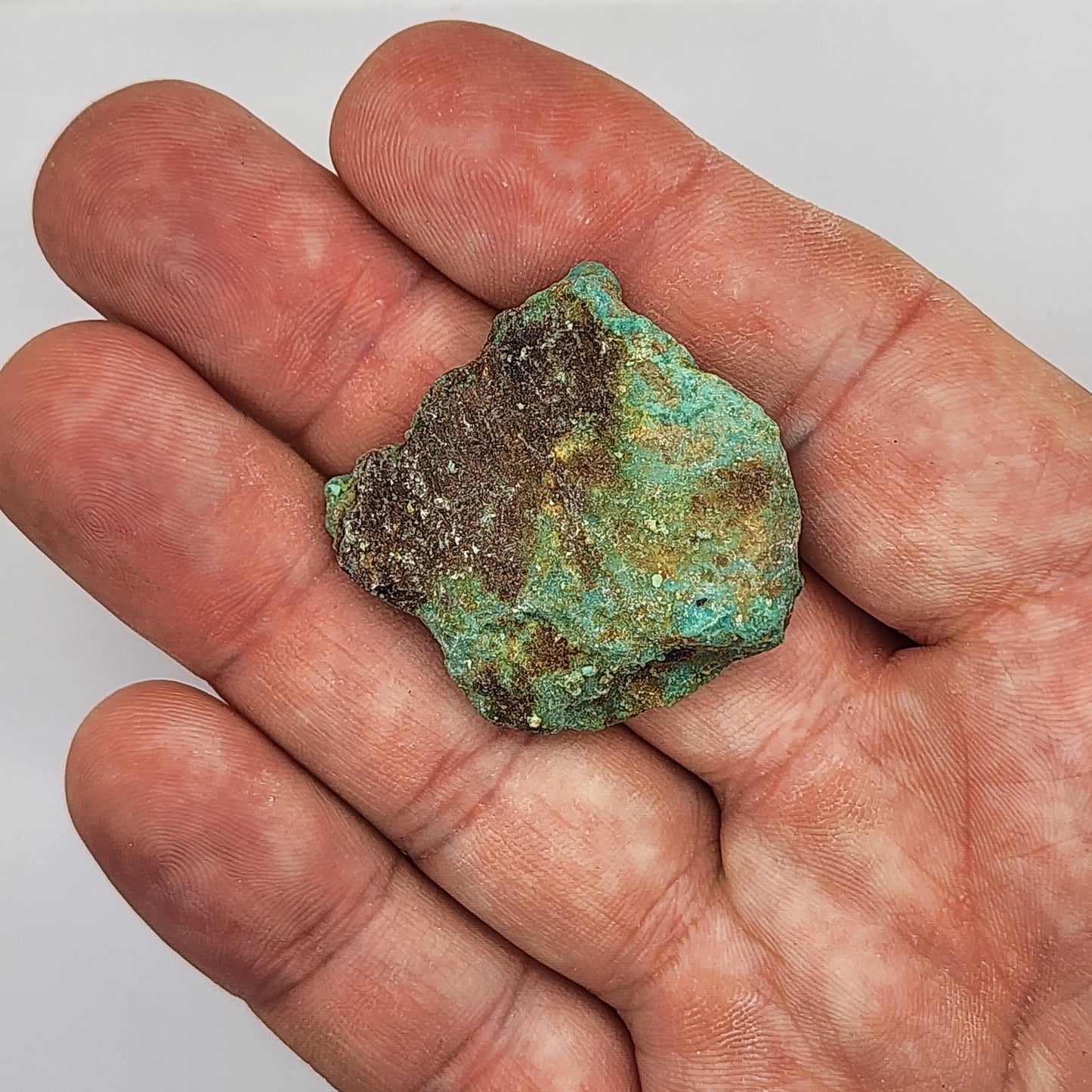 Sonoran Turquoise Rough - Stabilized Specimens - Lot #3