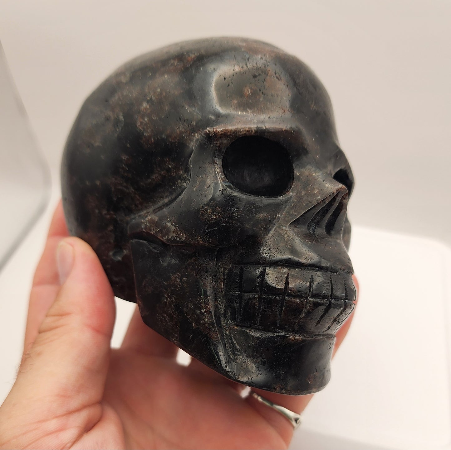 Albert the Arfvedsonite Skull - Large Hand-Carved Collector Crystal Skull