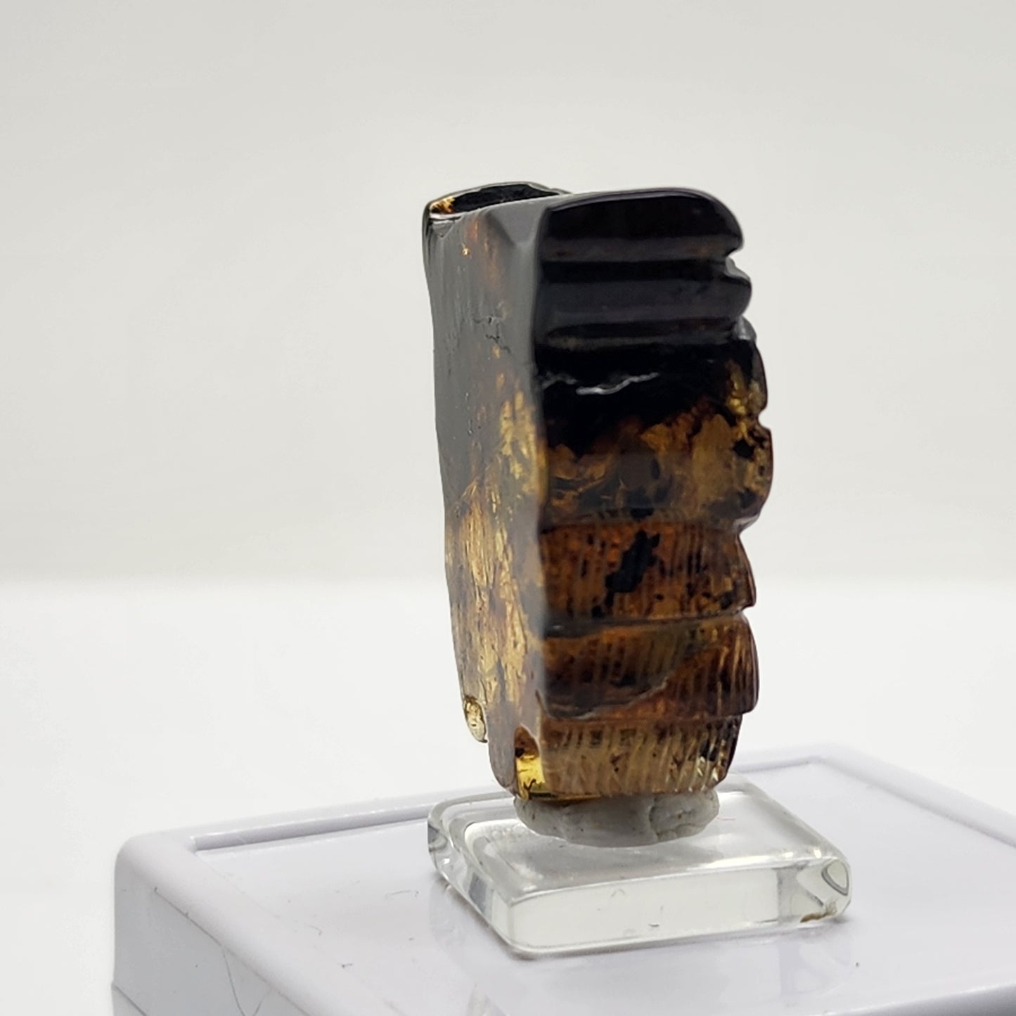 Amber Carved Owl #1