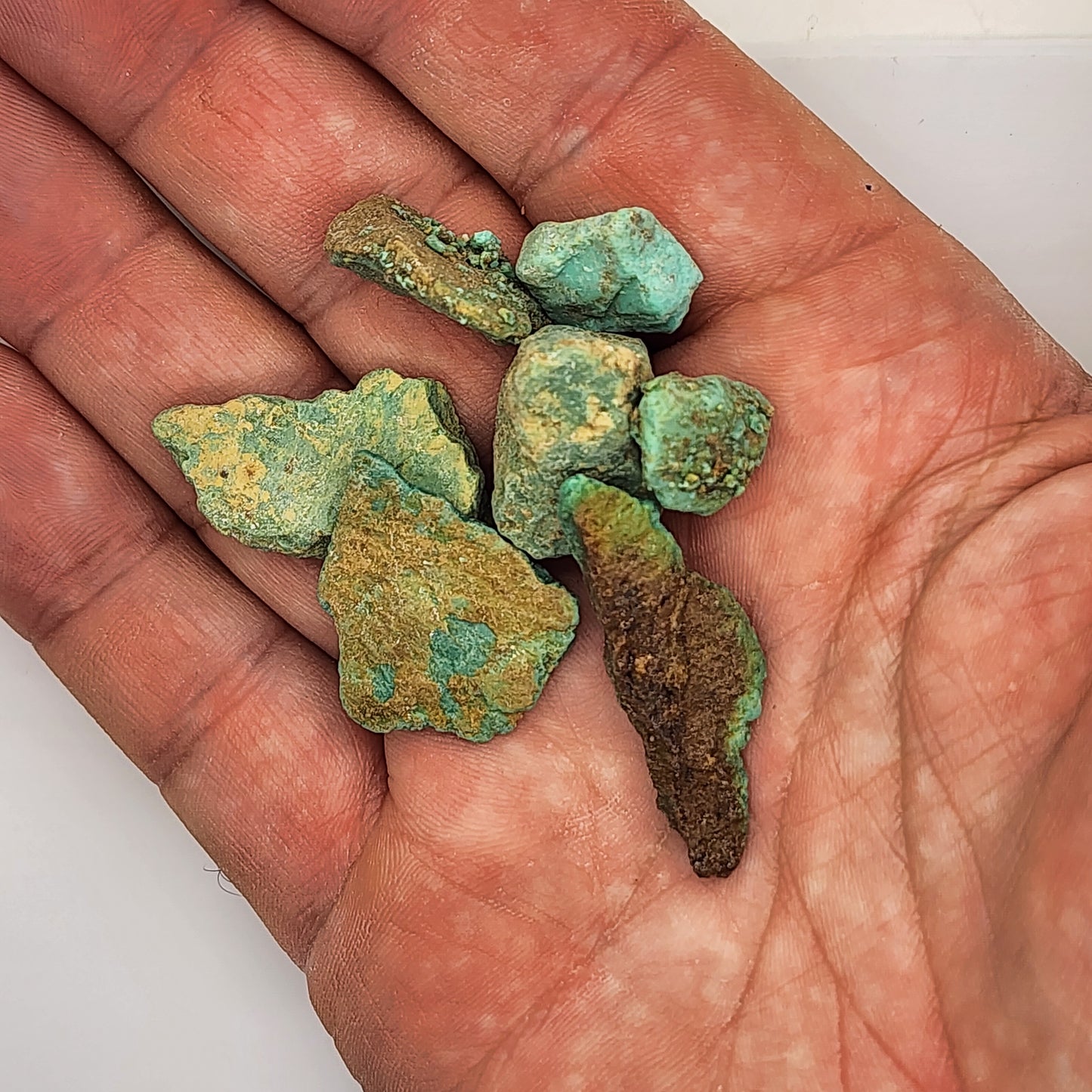 Sonoran Turquoise Rough - Stabilized Specimens - Lot #4