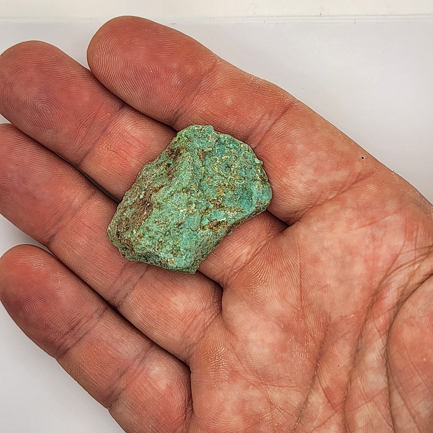 Sonoran Turquoise Rough - Stabilized Specimens - Lot #6