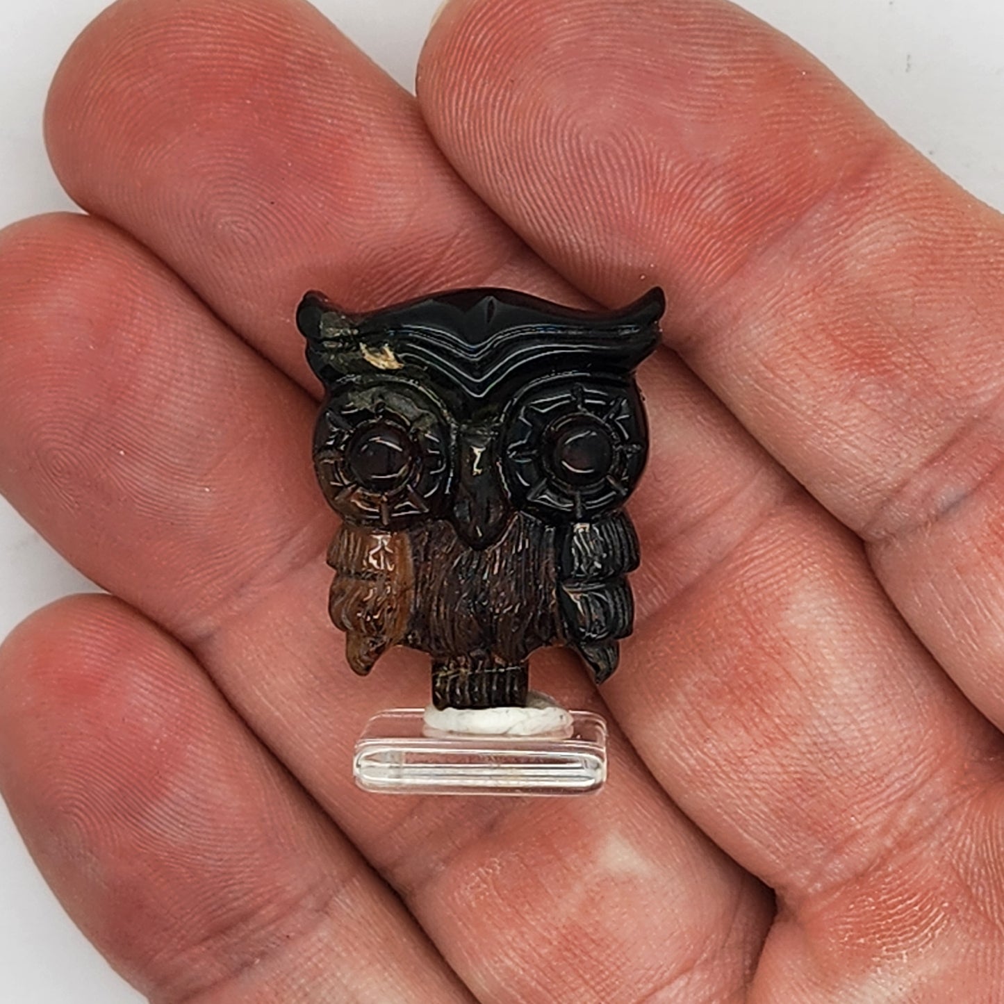 Amber Carved Owl #3
