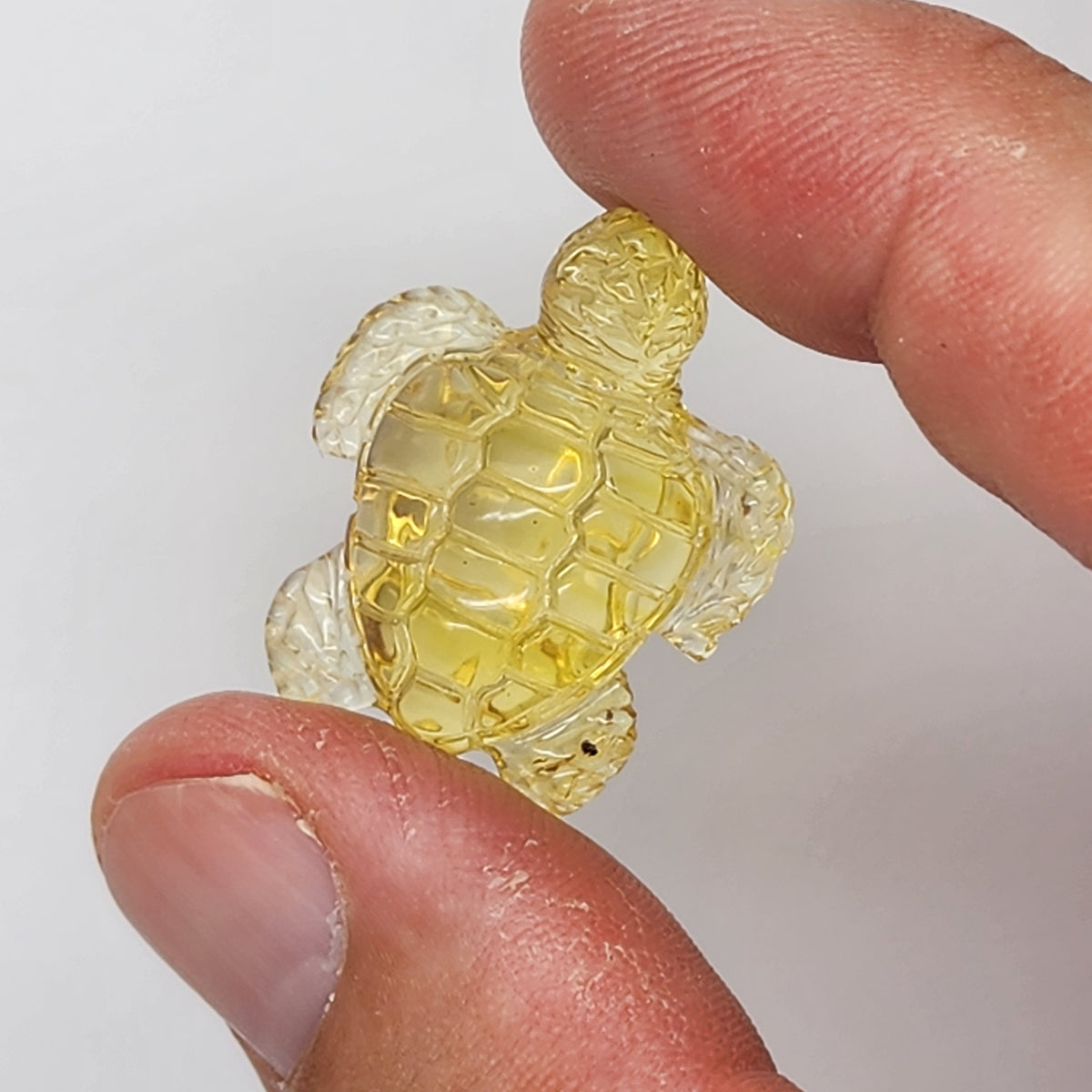 Sea Turtle Amber Carving #3