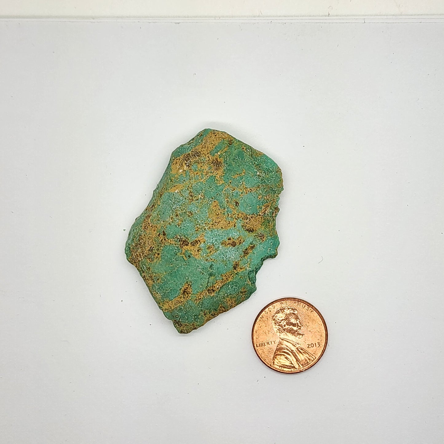 Sonoran Turquoise Rough - Stabilized Specimen - Lot #8