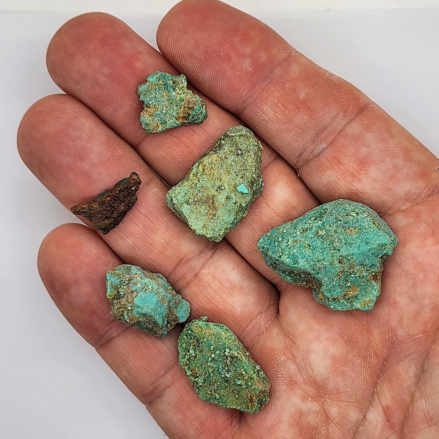Sonoran Turquoise Rough - Stabilized Specimens - Lot #12