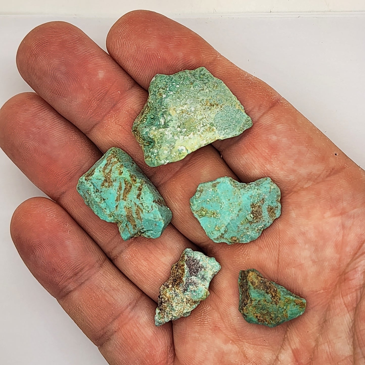 Sonoran Turquoise Rough - Stabilized Specimens - Lot #11