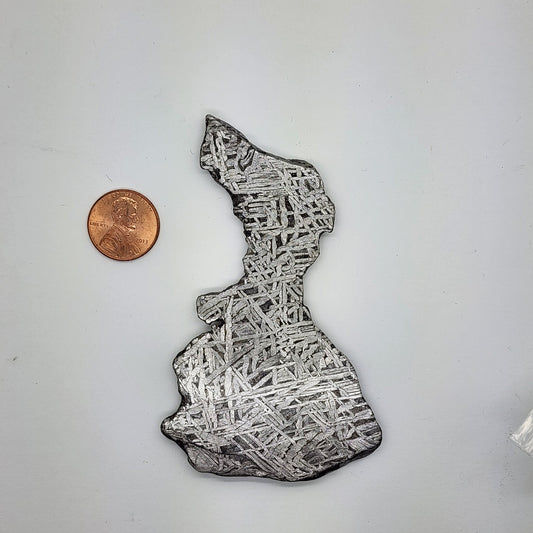Aletai Meteorite Slice - ALT-01