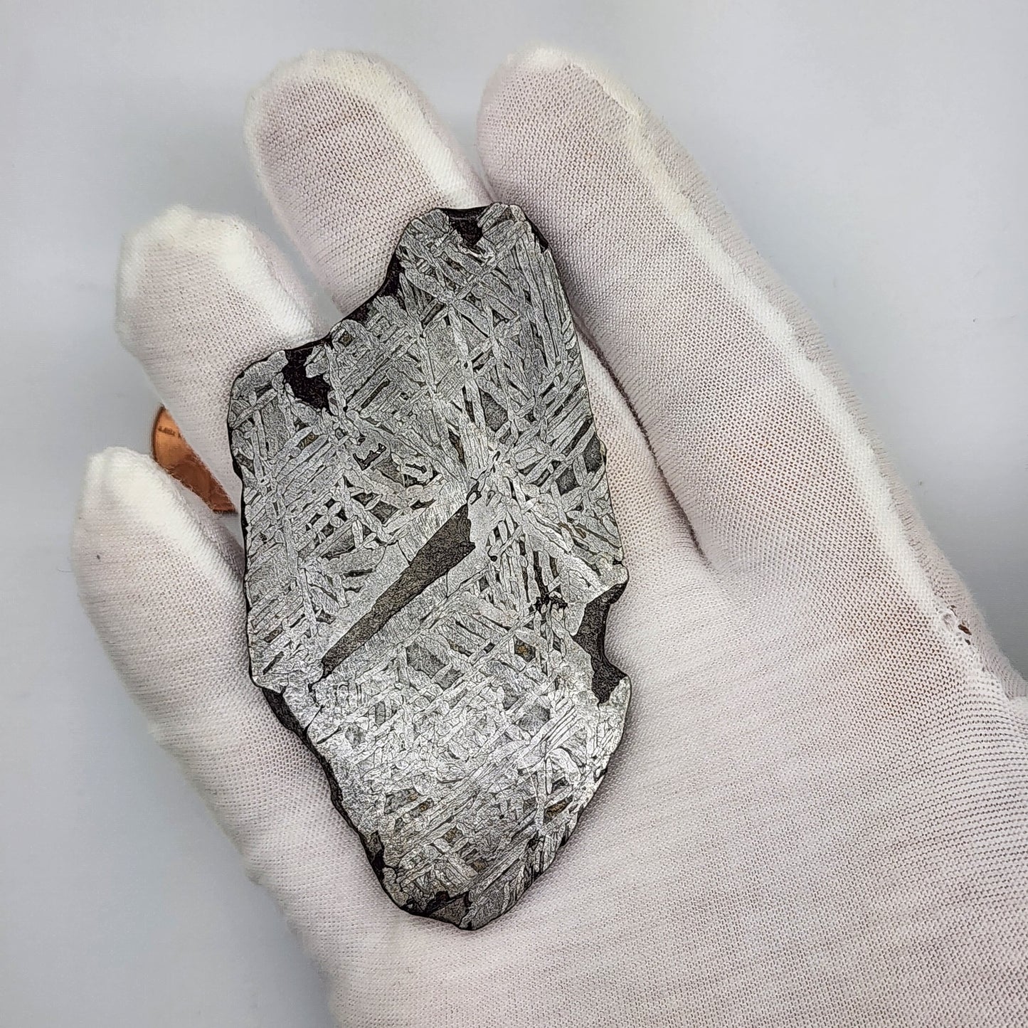 Aletai Meteorite Slice - ALT-04