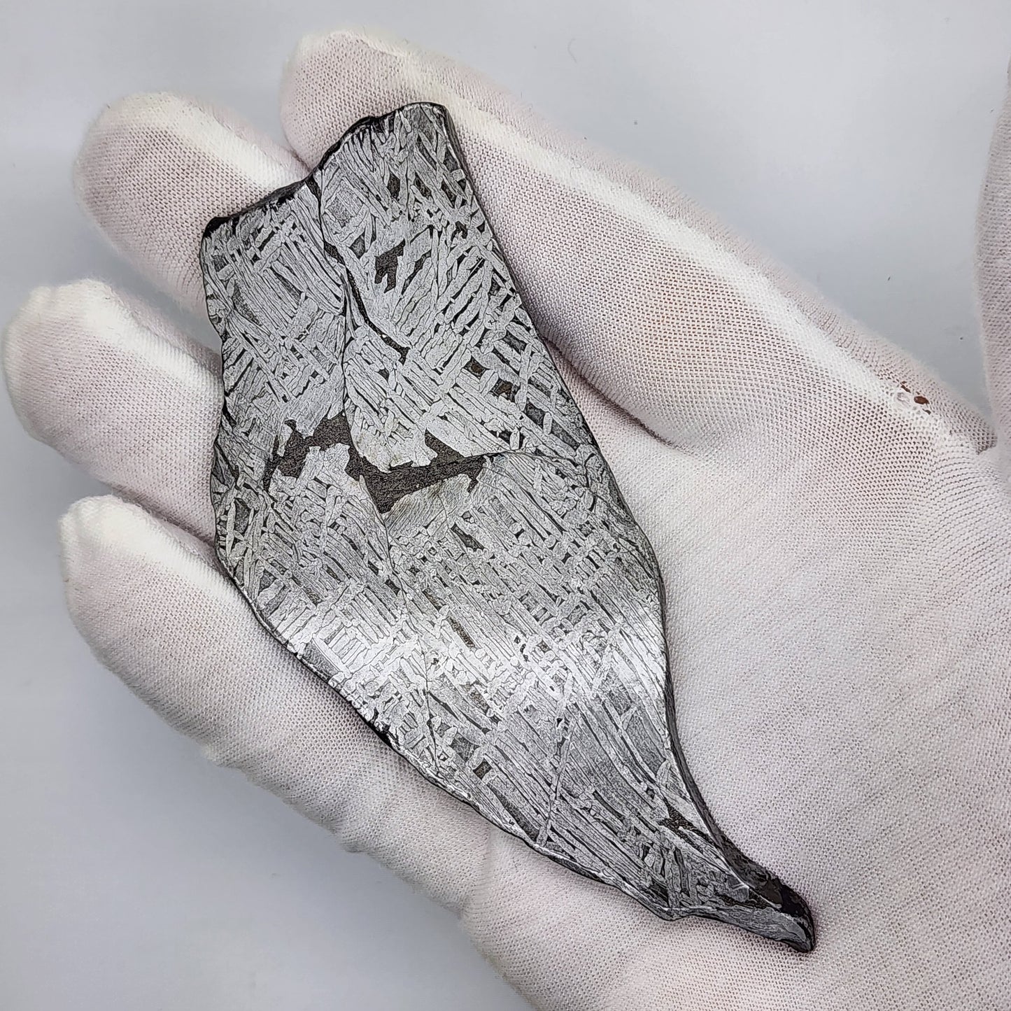 Aletai Meteorite Slice - ALT-05