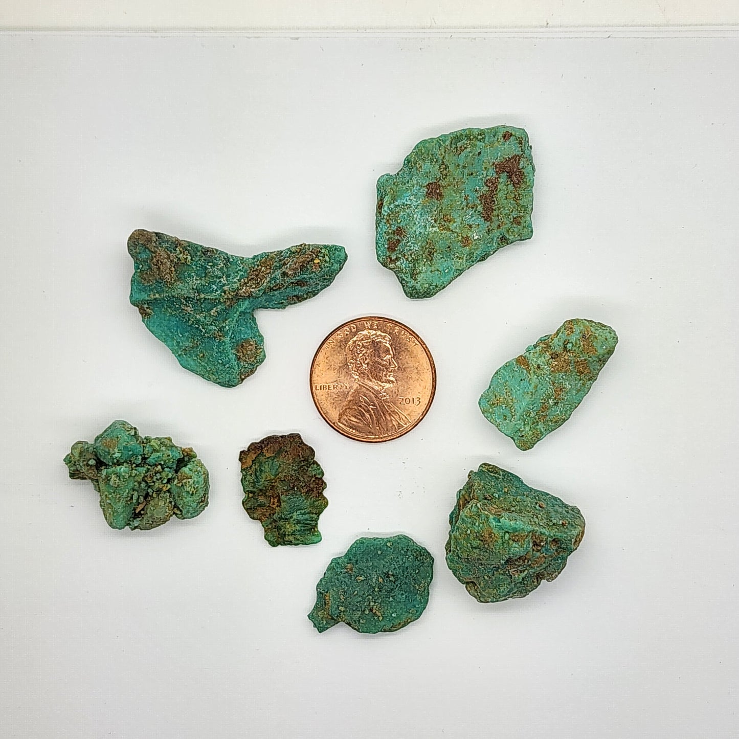 Sonoran Turquoise Rough - Stabilized Specimen - Lot #9