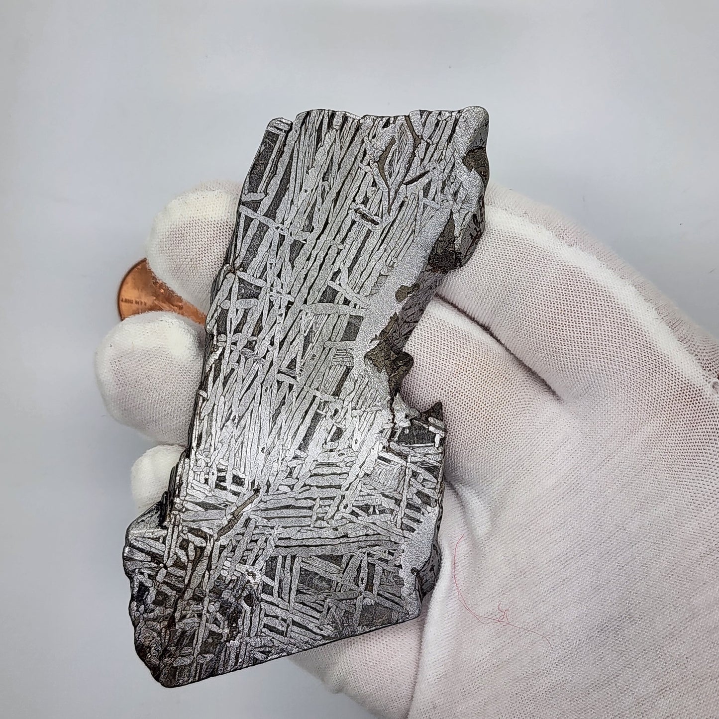 Aletai Meteorite Slice - ALT-02
