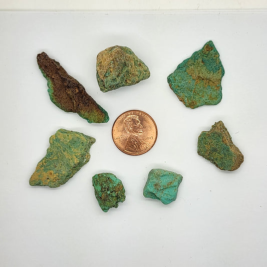Sonoran Turquoise Rough - Stabilized Specimens - Lot #4