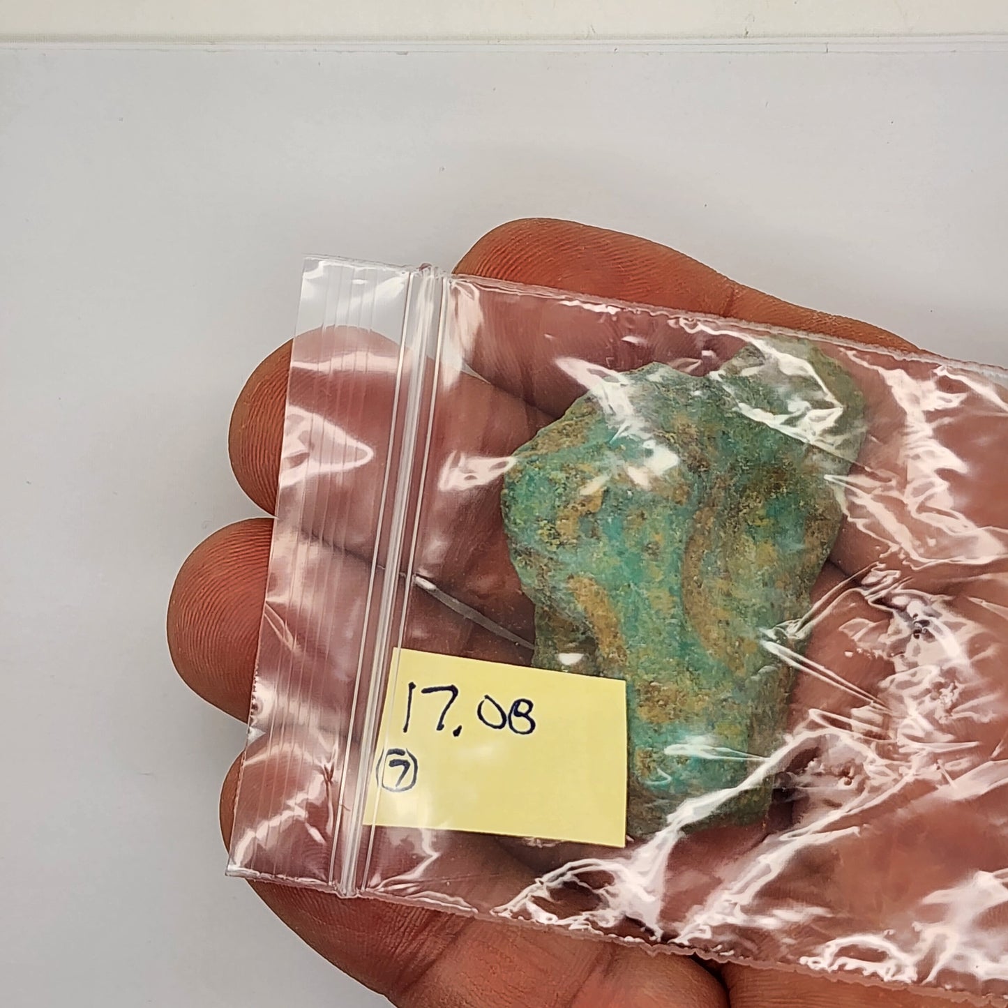 Sonoran Turquoise Rough - Stabilized Specimen - Lot #7