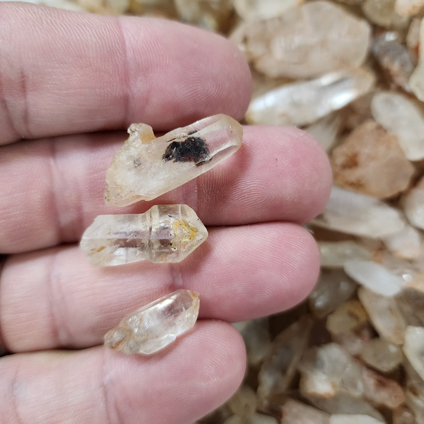 Petroleum Enhydro Clear Quartz Points - Mini to Small - 10 Piece Lot A